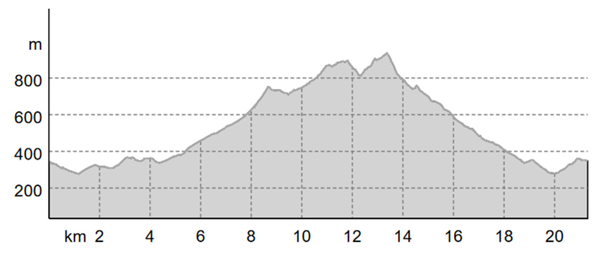 Profilo Altimetrico Trail Road to Maenza - 2024